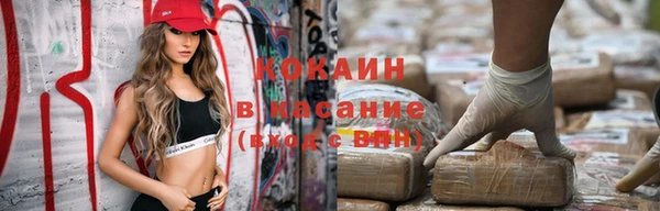 PSILOCYBIN Волосово