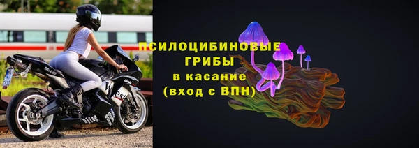 PSILOCYBIN Волосово