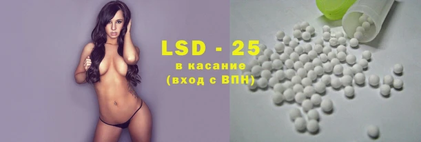 PSILOCYBIN Волосово
