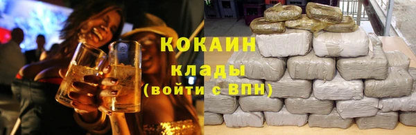 PSILOCYBIN Волосово